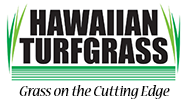 Hawaiian Turfgrass