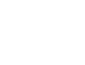 Seastar Seashore Paspalum