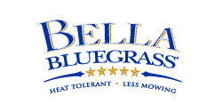 Bella Bluegrass