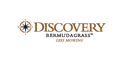 Discovery