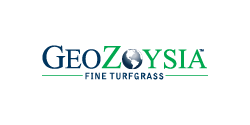 Geo Zoysia